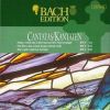 Download track Sehet, Welch Eine Liebe Hat Uns Der Vater Erzeiget BWV 64 - VIII Choral (Coro)