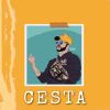 Download track Cesta