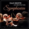 Download track Symphonie Nr. 8 Es-Dur -Symphonie Der Tausend-, Finale- -Alles Vergängliche- (Original Mix
