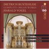 Download track 7. Toccata D-Moll BuxWV 155 - Schnitger-Orgel Noordbroek