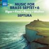 Download track Serenade For Strings In E Minor, Op. 20 (Arr. M. Knight For Brass Septet): I. Allegro Piacevole