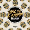 Download track Shaman (Original Mix)