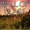 Download track Wall Of Glass - Tribute To Liam Gallagher