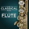 Download track Flute Concerto In G Minor, RV 439 La Notte IV. Presto