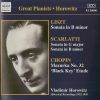 Download track Liszt: Sonata In B Minor 5, S. 178