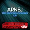 Download track The Second Coming (Original Mix)