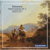 Download track 7. Concerto TWV 51: D2 In Re Maggiore Per Flauto Traversiere Archi E Basso Continuo - III. Largo