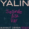 Download track Sesinde Ask Var (Mahmut Orhan Remix)