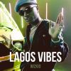 Download track Lagos Vibes
