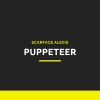 Download track Puppeteer