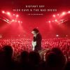 Download track Nick Cave & The Bad Seeds - Jubilee Street (Live In Copenhagen)