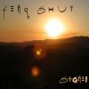 Download track Feng Shui - Piano Solo