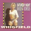 Download track Whigfield-Saturday Night (Radio Mix)