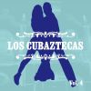 Download track Las Chiapanecas