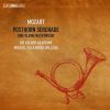 Download track 08 - Mozart - Serenade No. 9 In D Major, K. 320 Posthorn - VII. Finale. Presto