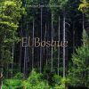 Download track El Bosque - Parte VI (El Baile De Las Luciérnagas)