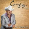 Download track El Pajarillo