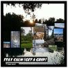 Download track Stay Calm
