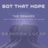 Download track Got That Hope (Seth Troxler Remix)