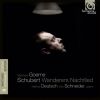 Download track Der Tod Und Das Mädchen, D. 531