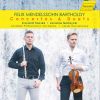 Download track Violin Concerto No. 1 In D Minor, MWV O 3: II. Andante