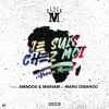 Download track Je Suis Chez Moi (African Remix) [Bonus Track] (Amadou & Mariam & Manu Dibango)