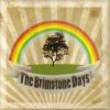 Download track We Are The Brimstone Days