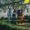 Download track Clarinet Trio In A Minor, Op. 40: II. Anmutig Bewegt