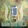 Download track Call Of The Wild (Ruslan Radriges Radio Edit)