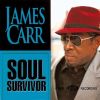 Download track Soul Survivor