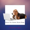 Download track Smooth Music For Dogs, Series 3