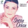 Download track Pınarın Başında