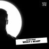 Download track What I Want (DJ Lapetina Remix)