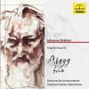 Download track String Sextet No. 2 In G Major, Op. 36 (Arr. T. Kirchner For String Trio): III. Poco Adagio