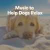 Download track Music To Help Dogs Relax, Pt. 7