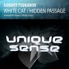 Download track Hidden Passage (Radio Edit)