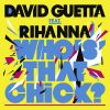 Download track Who'S That Chick? (Adam F Remix)
