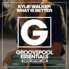 Download track What Is Better (Future VIP Mix)