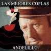 Download track El Pajarillo