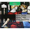Download track Misa Criolla: Agnus Dei