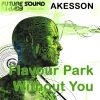 Download track Without You (Original Mix)