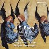 Download track 05. Bach Cantata, BWV 80 V. Und Wenn Die Welt Voll Teufel Wär