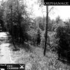Download track Orphanage (Original Mix)