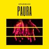 Download track Paura