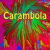 Download track Carambola