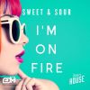 Download track I'm On Fire (Radio Edit)