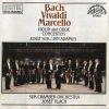 Download track A. Vivaldi, Concerto In G Minor, RV 576 / II. Larghetto
