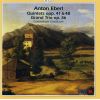 Download track Grand Trio Op. 36: II - Adagio Non Troppo, Ma Con Espressione