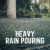 Download track Falling Rain