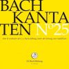 Download track 2.2. Rezitativ Und Choral Sopran: Der Glanz Der Höchsten Herrlichkeit